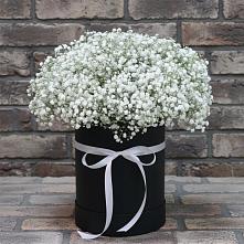 Цветочная композиция из Гипсофила в шляпной коробке #REPLACE_PRED# Горбатовке